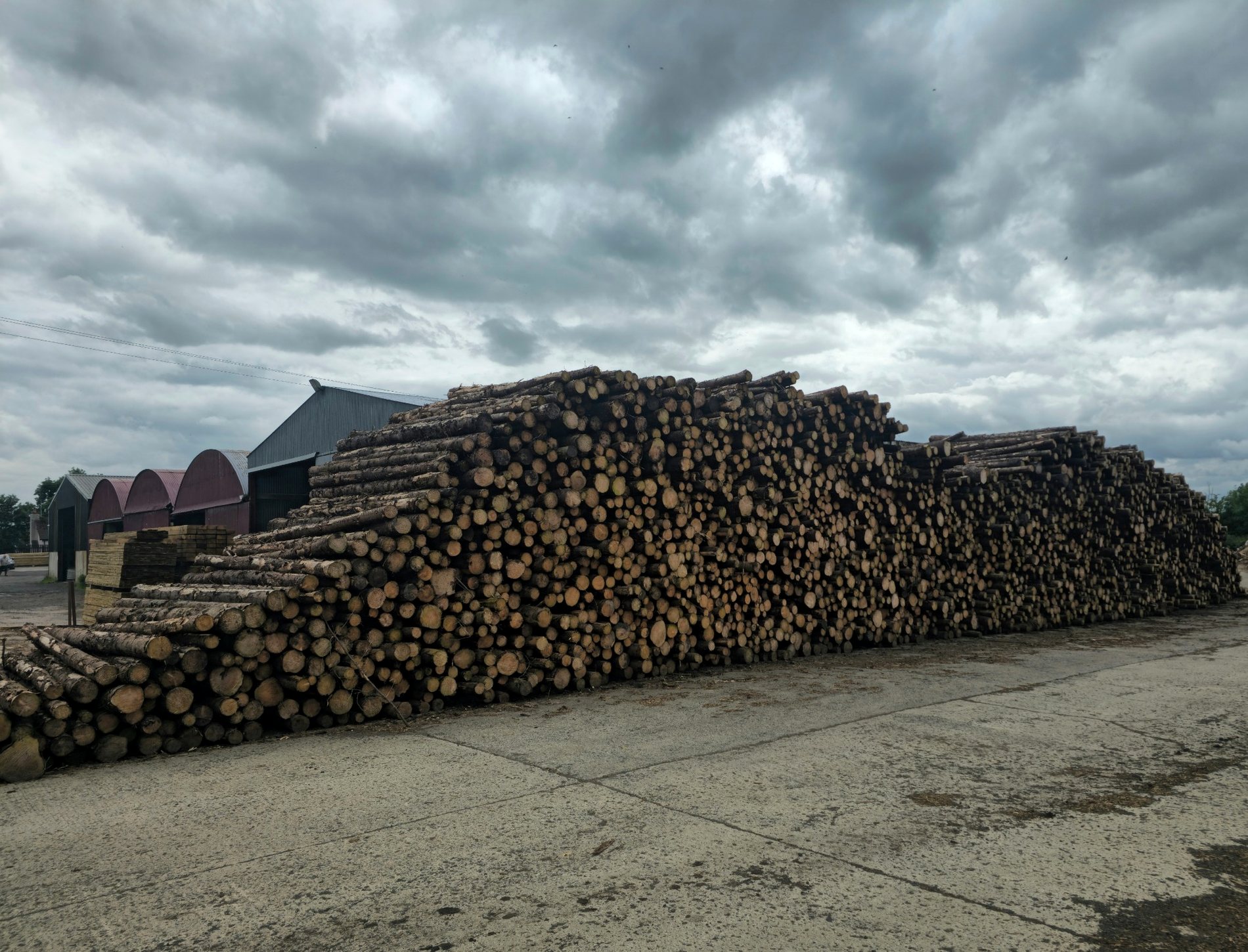Log stock at A&R Taggart Sawmills