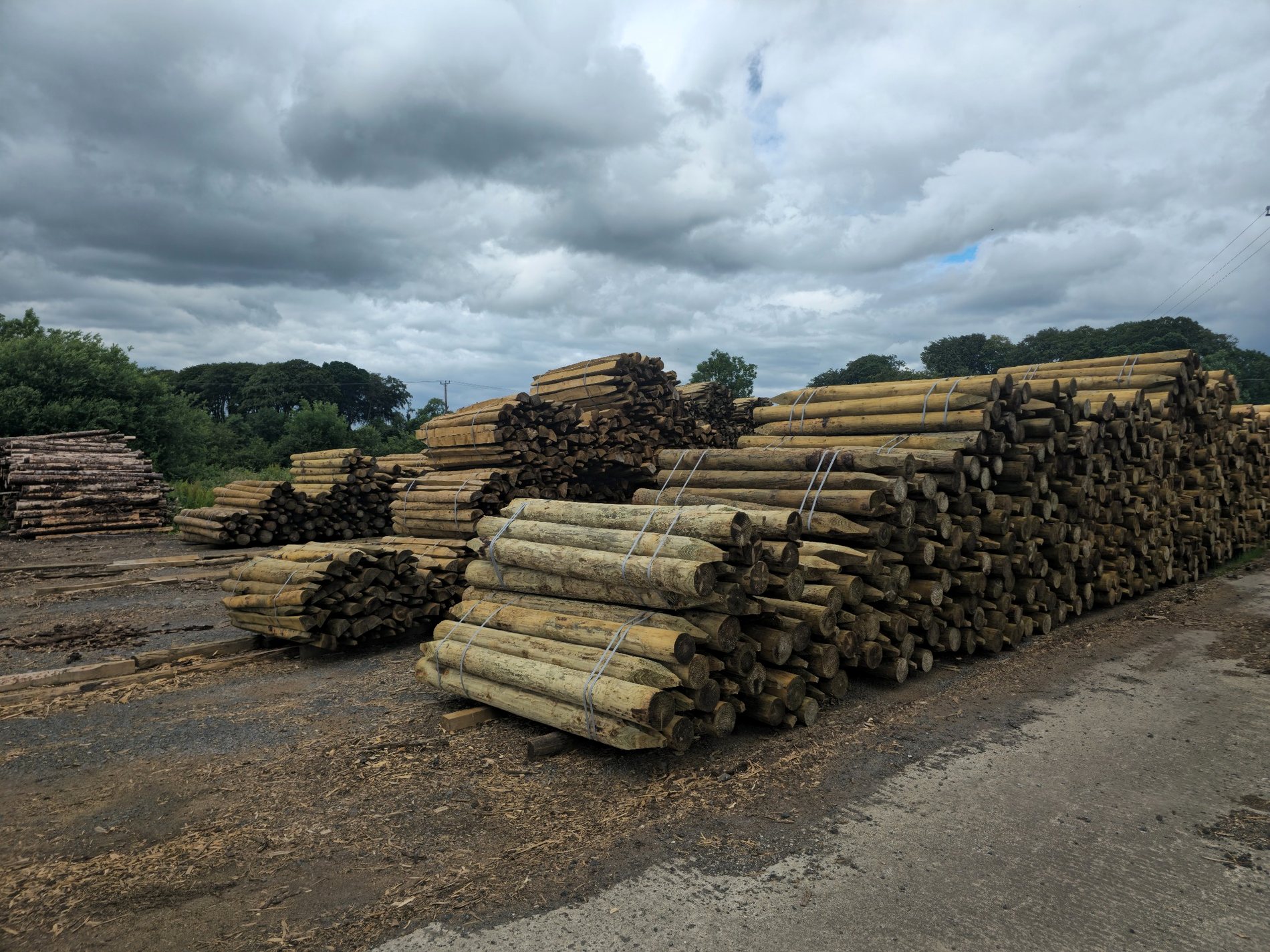 Treated round fencing posts stacked in the yard