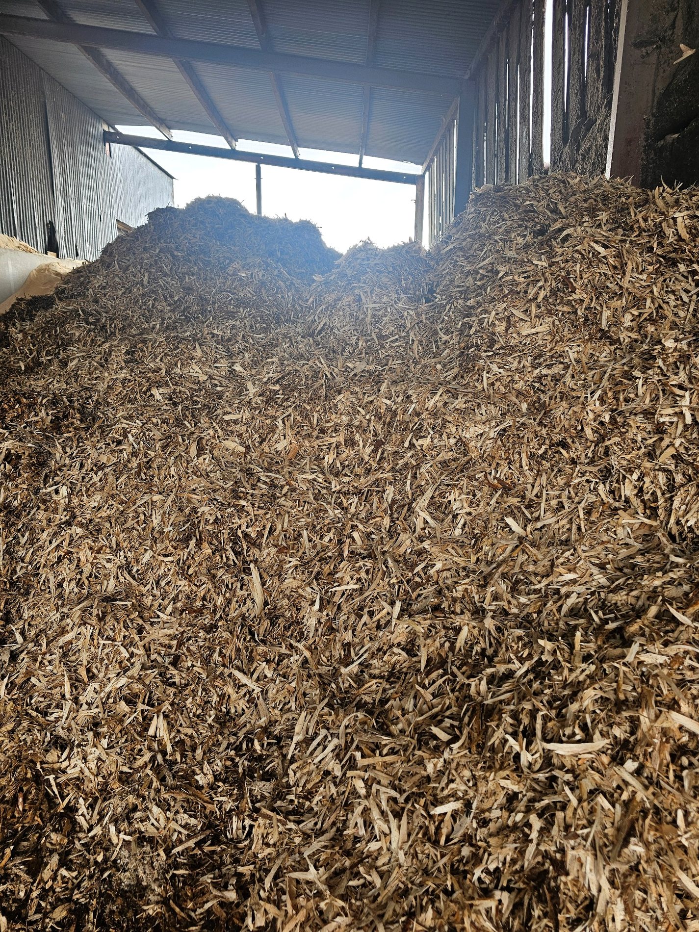 Large stock of wood shavings at the sawmill